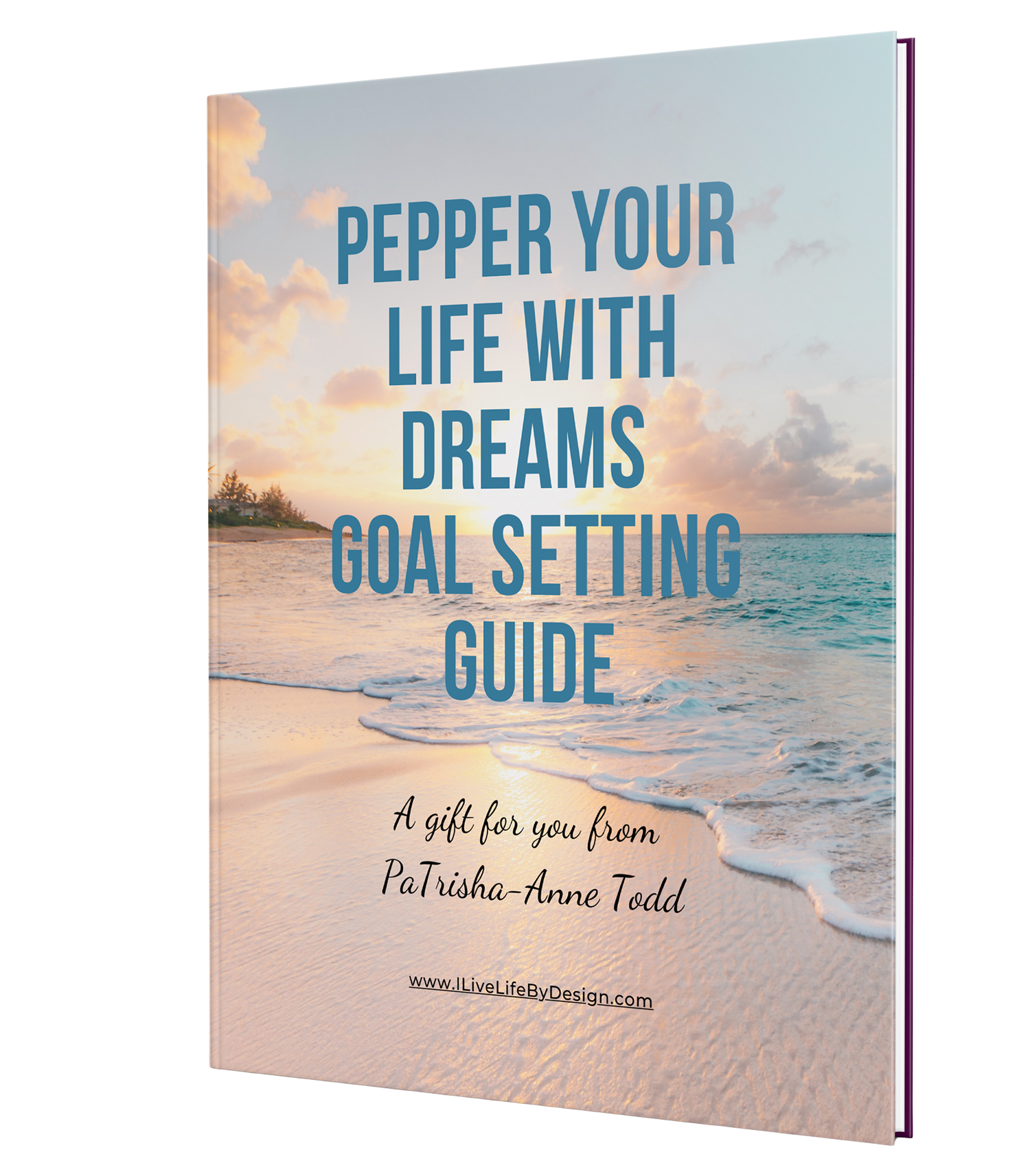 Pepper Your Life with Dreams Goal Setting Guide a gift from PaTrisha-Anne Todd at www.CoachingLeadsToSuccess.com